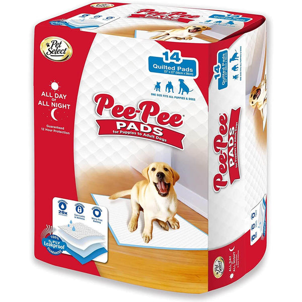 Dog pee pads shop for older dogs