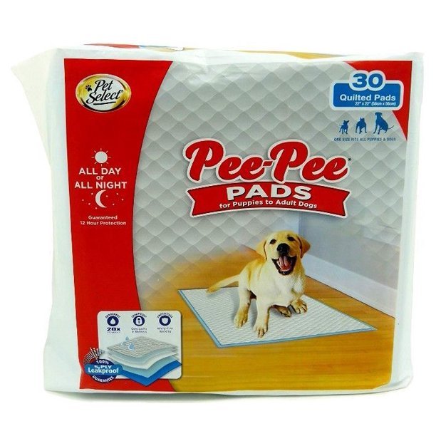 Pee Pee Everyday Dog Training Pads - Buy Online - Jungle Aquatics
