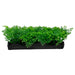 Penn Plax Aquascaping Plastic Small Green - Buy Online - Jungle Aquatics