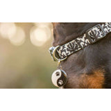 close-up of a pet collar featuring a stylish ID tag with a paw print design, ideal for pet identification.