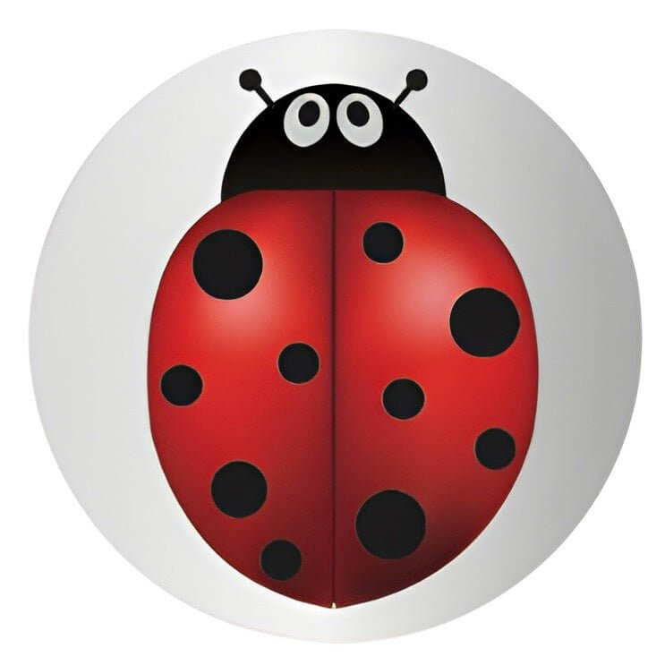 Cute ladybug design for pet ID tag, perfect for showcasing your pet's personality and ensuring their safety.