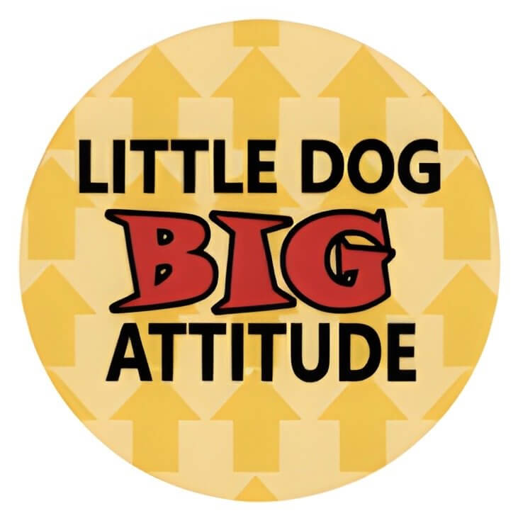 Colorful pet ID tag featuring the text "Little Dog Big Attitude" on a bright yellow background with arrows.