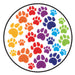 Pet ID Tag - Rainbow Paws - Buy Online - Jungle Aquatics