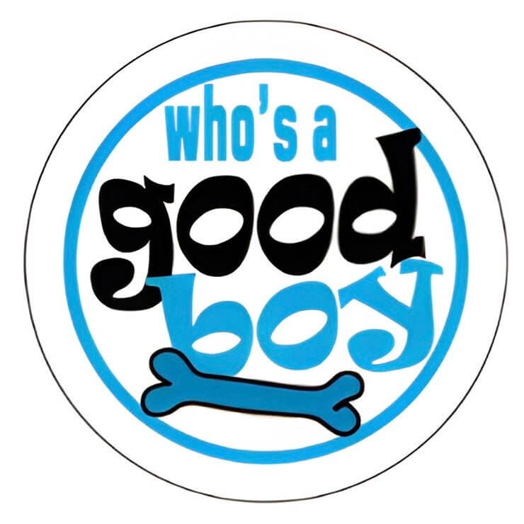 Pet ID Tag design featuring the phrase "Who's a Good Boy" with a playful bone graphic.