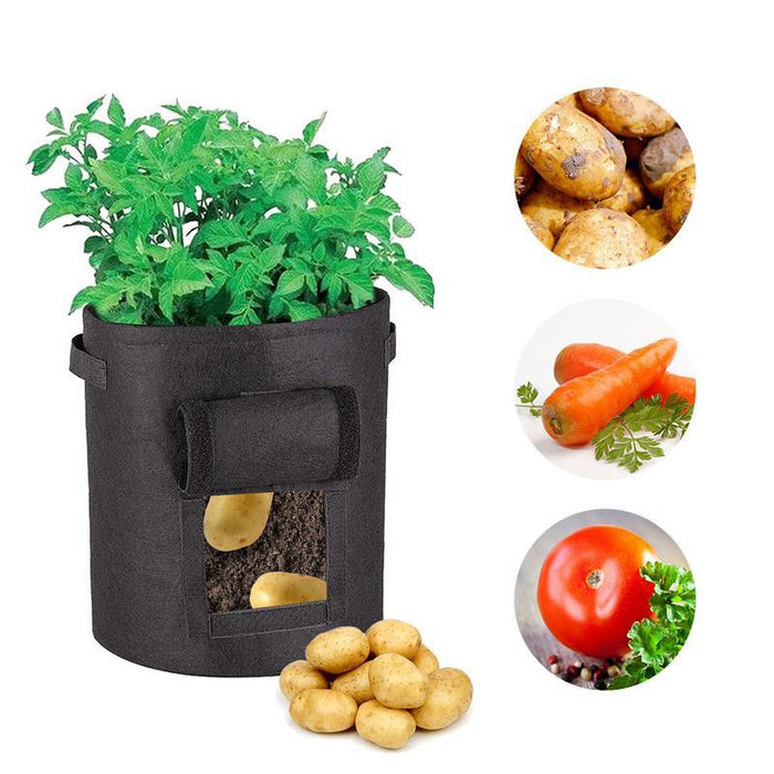 Potato, Carrot and Vegetables Grow Bag - Buy Online - Jungle Aquatics