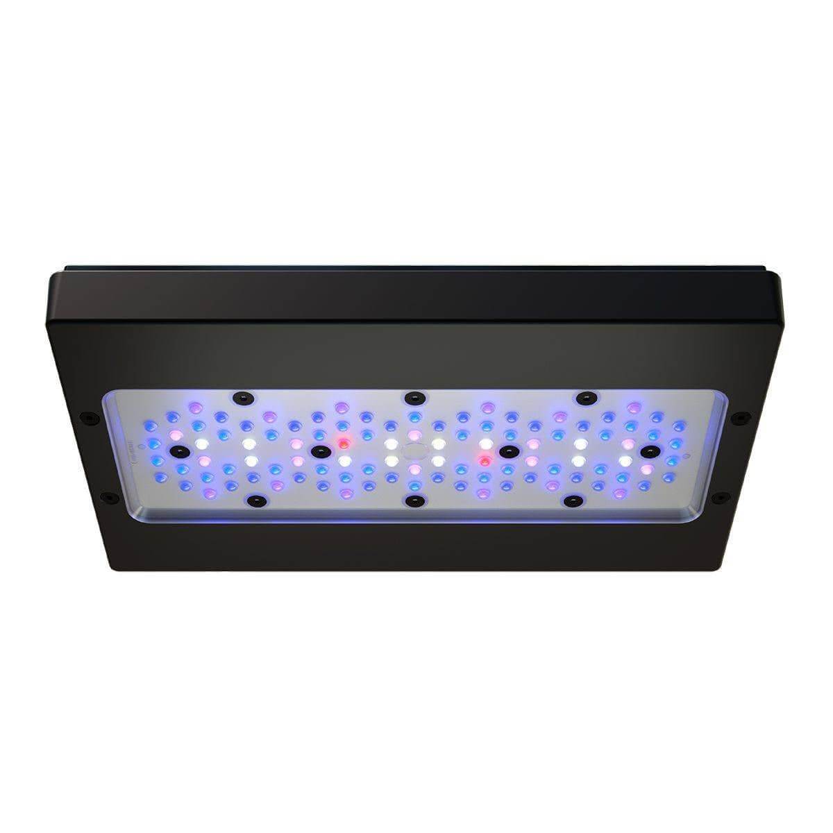 EcoTech Marine Radion XR30 G6 Blue LED Light Fixture with advanced optical system and colorful LED clusters.
