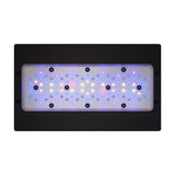 Radion XR30 G6 Blue LED Light Fixture with advanced color spectrum and optical system for optimal performance.