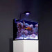 Red Sea Max NANO Cube Complete Reef Aquarium System 75L - Buy Online - Jungle Aquatics