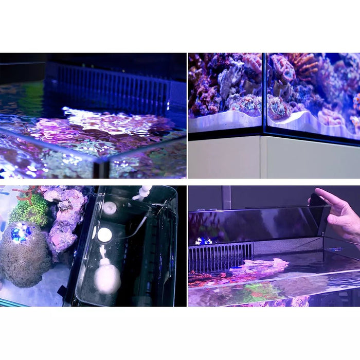 Red Sea Max NANO Cube Complete Reef Aquarium System 75L - Buy Online - Jungle Aquatics