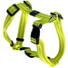 Rogz Classic Reflective Harness - Buy Online - Jungle Aquatics