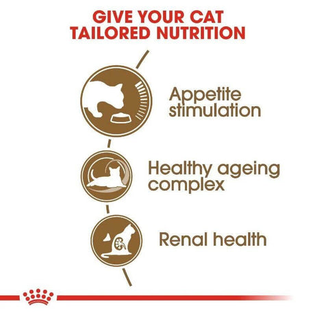 Infographic highlighting tailored nutrition for cats: appetite stimulation, healthy ageing complex, and renal health.