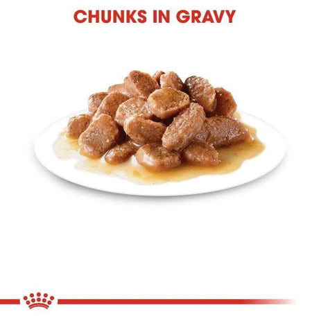 Chunks of Royal Canin cat food in gravy on a white plate, designed for sensitive stomachs.