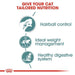 Royal Canin Cat - Hairball Care Wet Food Pouch 85g - Buy Online - Jungle Aquatics