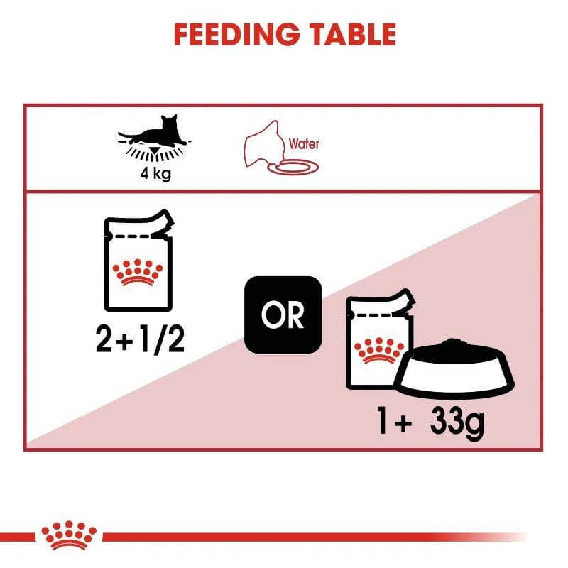 Royal Canin feeding table showing portions for cats, including wet food and dry food measurements for optimal nutrition.