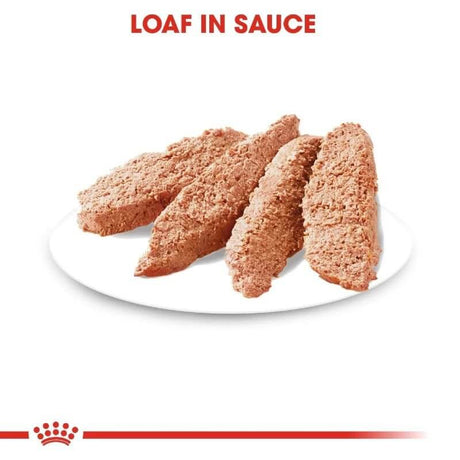 Royal Canin Digestive Care wet loaf in sauce presented on a white plate, highlighting its texture and appearance.