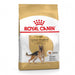 Royal Canin German Shepherd Adult Dog Food 11kg - Buy Online - Jungle Aquatics