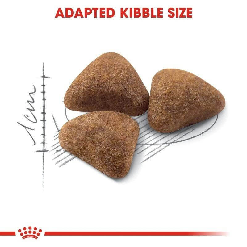 Royal Canin Indoor 27 Cat Food kibble showcasing adapted size for optimal digestion in adult indoor cats.