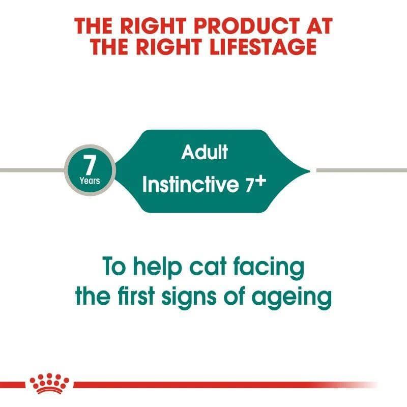 Infographic highlighting Royal Canin Instinctive 7+ for adult cats aged 7+, emphasizing support for signs of aging.