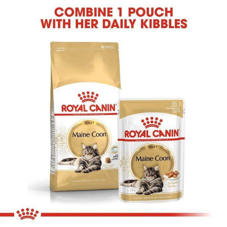 Royal Canin Maine Coon Adult cat food packaging, including dry kibbles and wet pouch for optimal nutrition.