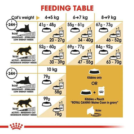 Feeding table for Royal Canin Maine Coon Adult Cat Food, detailing portion sizes based on cat weight and activity level.