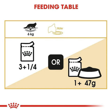 Feeding table for Royal Canin Maine Coon Adult Cat, showing portion sizes and water guidelines for 6 kg cats.