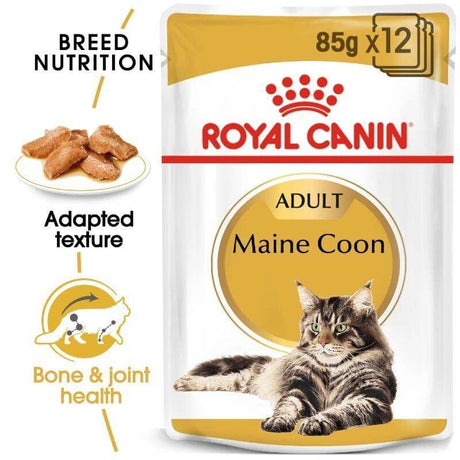Royal Canin Maine Coon Adult Cat Wet Food Pouch 85g with gravy, designed for breed-specific nutrition and joint health.