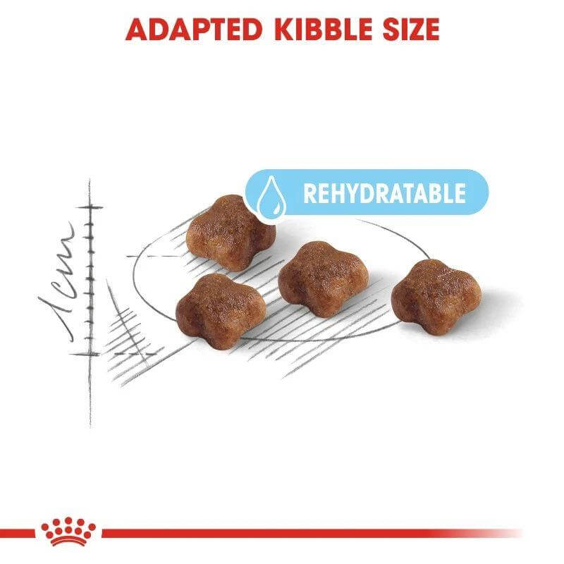 Adapted kibble size for Royal Canin Mother & Baby Cat Food, highlighting rehydratable texture for easy chewing.