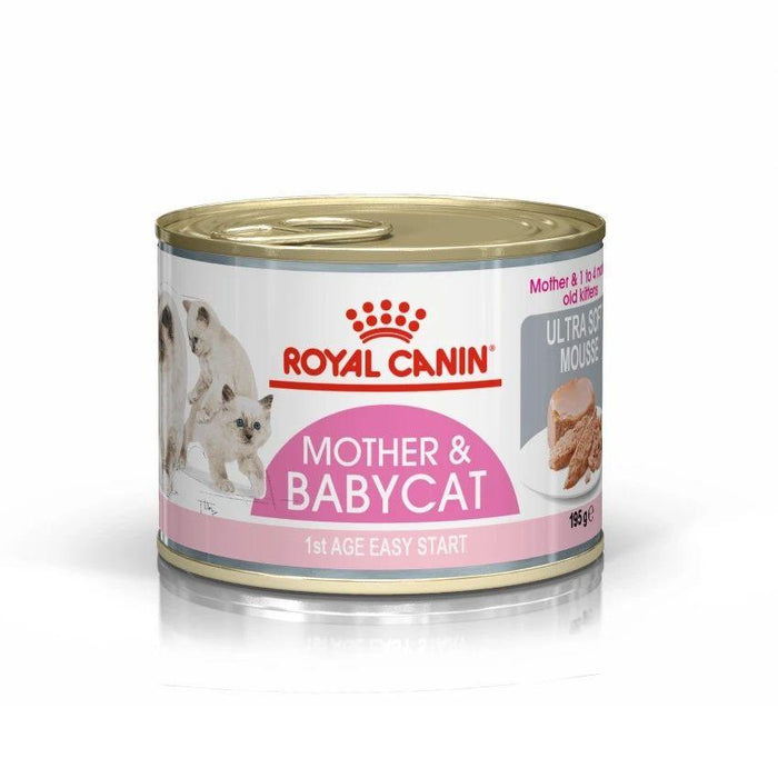 Royal Canin Mother & Babycat Instinctive Mousse 195g - Buy Online - Jungle Aquatics