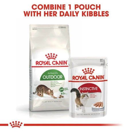 Royal Canin Outdoor and Instinctive cat food pouches showcasing active nutrition for healthy outdoor cats.