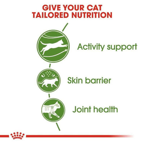 Infographic showing tailored nutrition benefits for cats: activity support, skin barrier, and joint health.