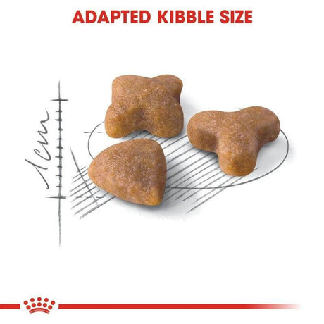 Royal Canin Sensible Cat Food adapted kibble size designed for optimal digestion in sensitive cats.