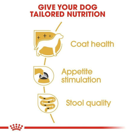 Infographic showing benefits of tailored nutrition for dogs: coat health, appetite stimulation, and stool quality.