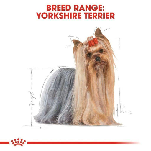 Royal Canin Yorkshire Terrier Adult Wet Food Pouch 85g - Buy Online - Jungle Aquatics