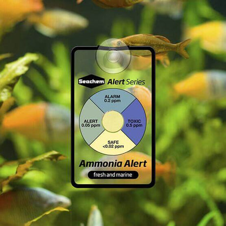 Seachem Ammonia Alert device showing color-coded levels for monitoring ammonia in freshwater and marine environments.
