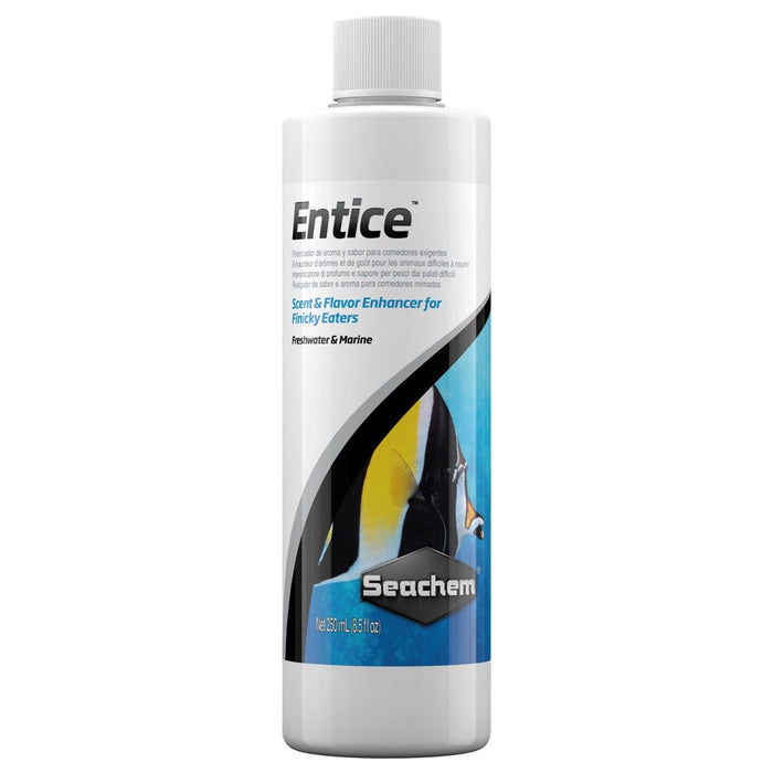 Seachem Entice 250ml - Buy Online - Jungle Aquatics