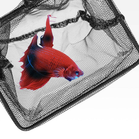 Seachem fish net with vibrant red fish inside, perfect for freshwater and saltwater aquariums. Quality net for easy storage.