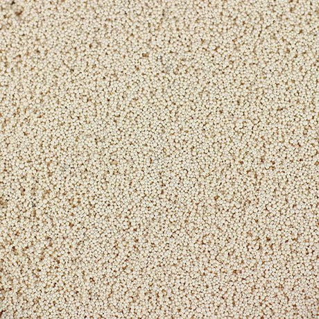 Close-up of Seachem Purigen, a premium synthetic adsorbent with high organic removal capacity and vast surface area.