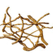 Spider Wood Twigs 100g - Buy Online - Jungle Aquatics