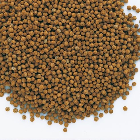 Tetra Goldfish Granules - Buy Online - Jungle Aquatics