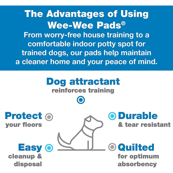 Wee Wee Superior Performance Dog Training Pads - Buy Online - Jungle Aquatics