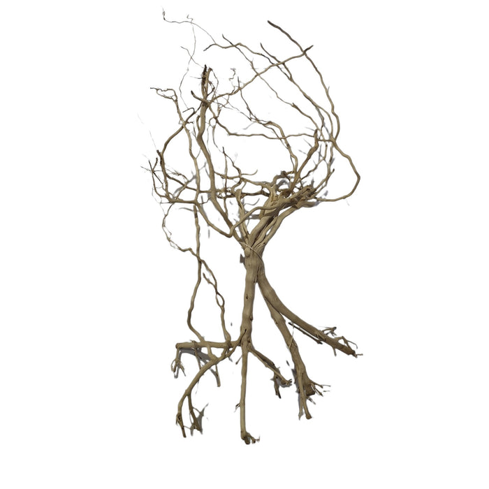 Whiskers Wood Decoration for aquascaping, 25-30cm assorted pieces with intricate branches and roots.