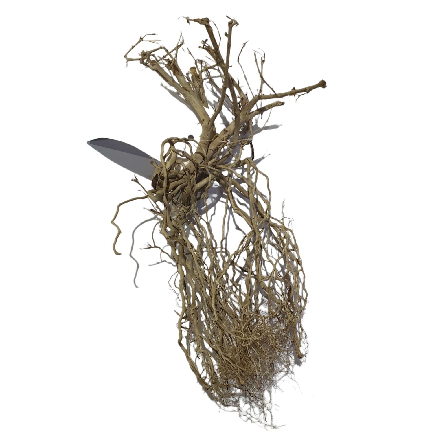 Whiskers wood decoration for aquascaping, assorted pieces sized 25-30cm with intricate root details.