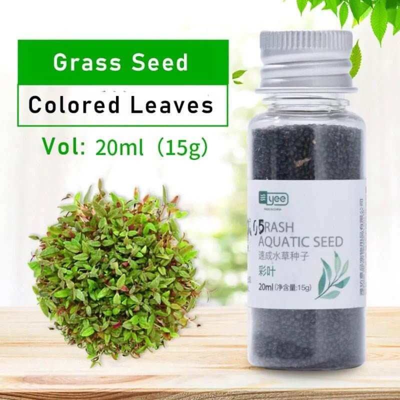 Yee Crash Aquatic Seeds in a 20ml bottle with green plant background, ideal for carpet planting and easy to grow.