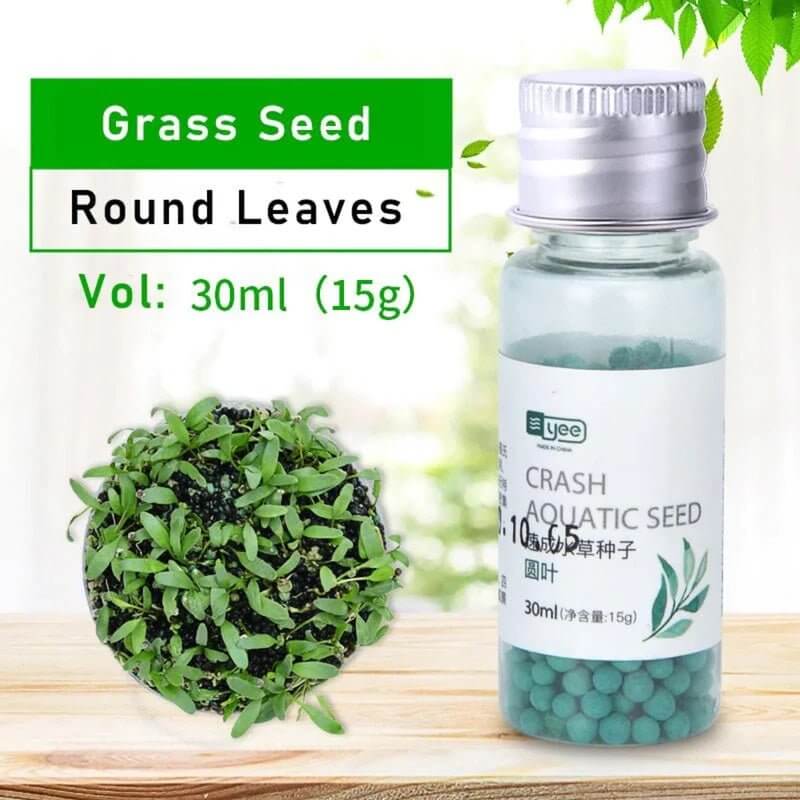 Yee Crash Aquatic Seeds in a 30ml bottle with round leaf grass seed, ideal for easy planting without water for better germination.