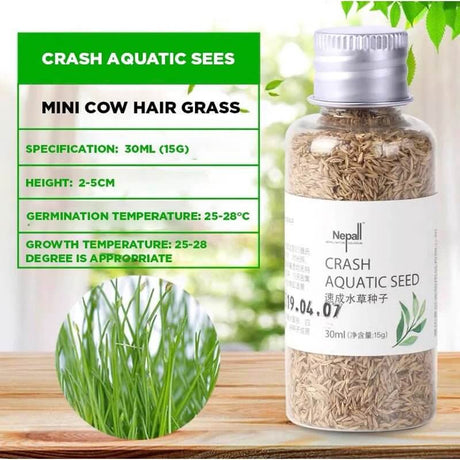 Bottle of Crash Aquatic Seeds for Mini Cow Hair Grass with specifications and germination details displayed.