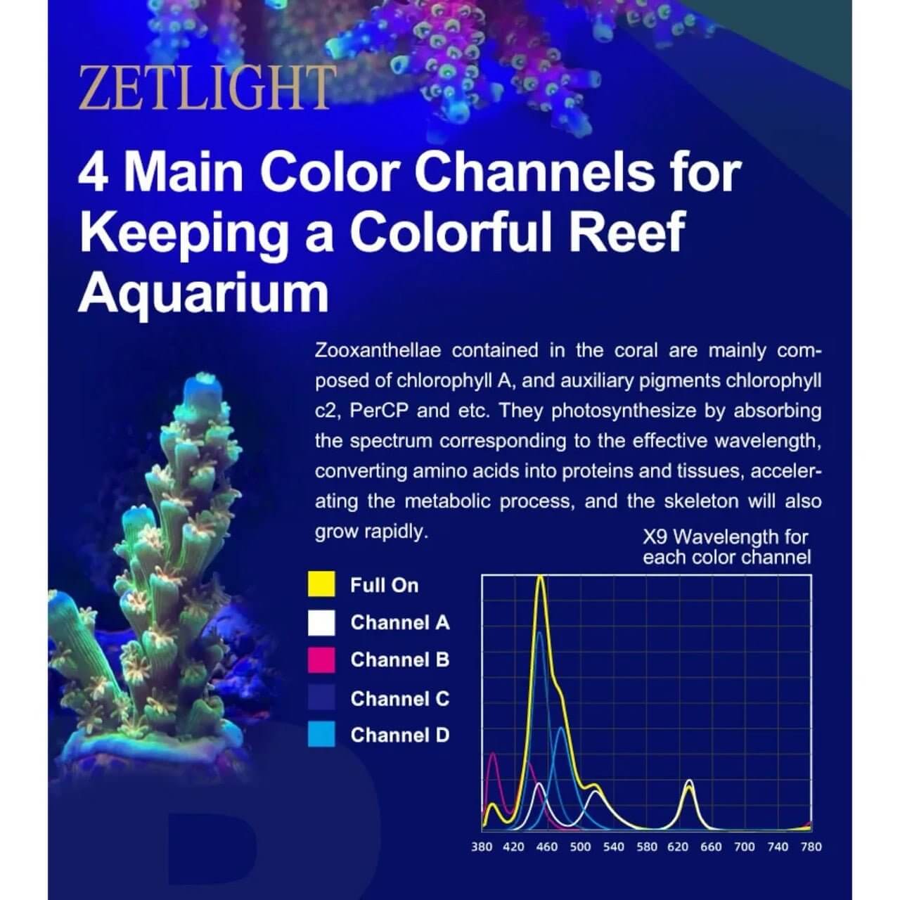 Zetlight diagram explaining four main color channels for vibrant reef aquarium growth and photosynthesis efficiency.