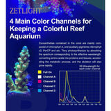 Zetlight diagram explaining four main color channels for vibrant reef aquarium growth and photosynthesis efficiency.