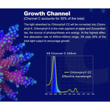 Growth channel illustration showing Chlorophyll absorption for Zetlight X9 Marine LED Light.